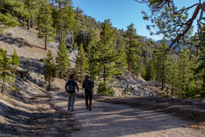 Cooper Canyon @ Cooper Canyon